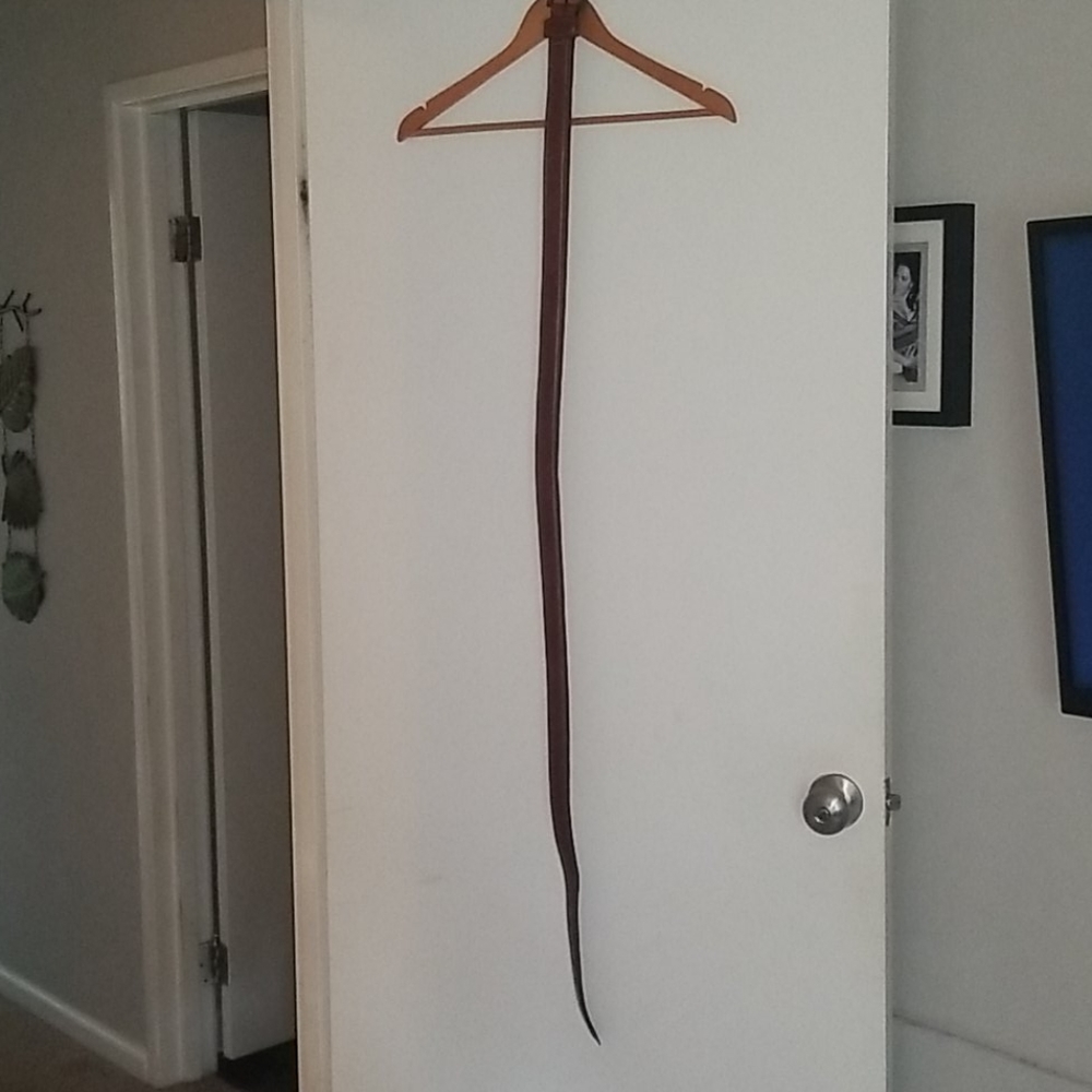 Men's Brown belt